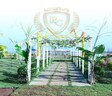 Myron Royal Crest