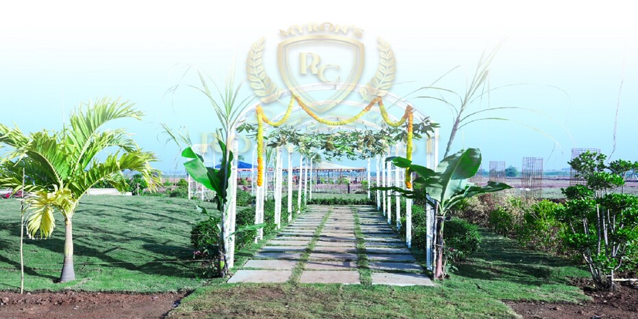 Myron Royal Crest Cover Image