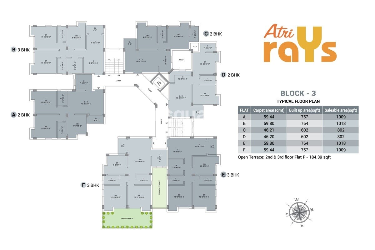 Atri Rays