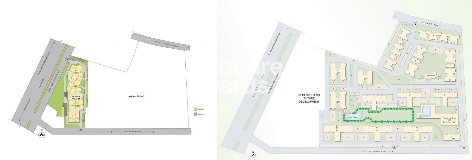 Bengal Peerless Avidipta