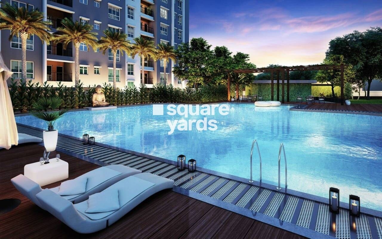 Blue Onyx PPP Eternia Amenities-Features