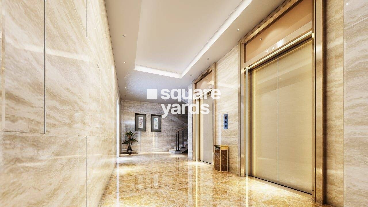 Blue Onyx PPP Eternia