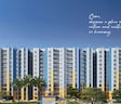 DTC Good Earth