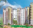 Ekta World Oleander