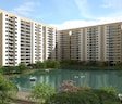 Emami City