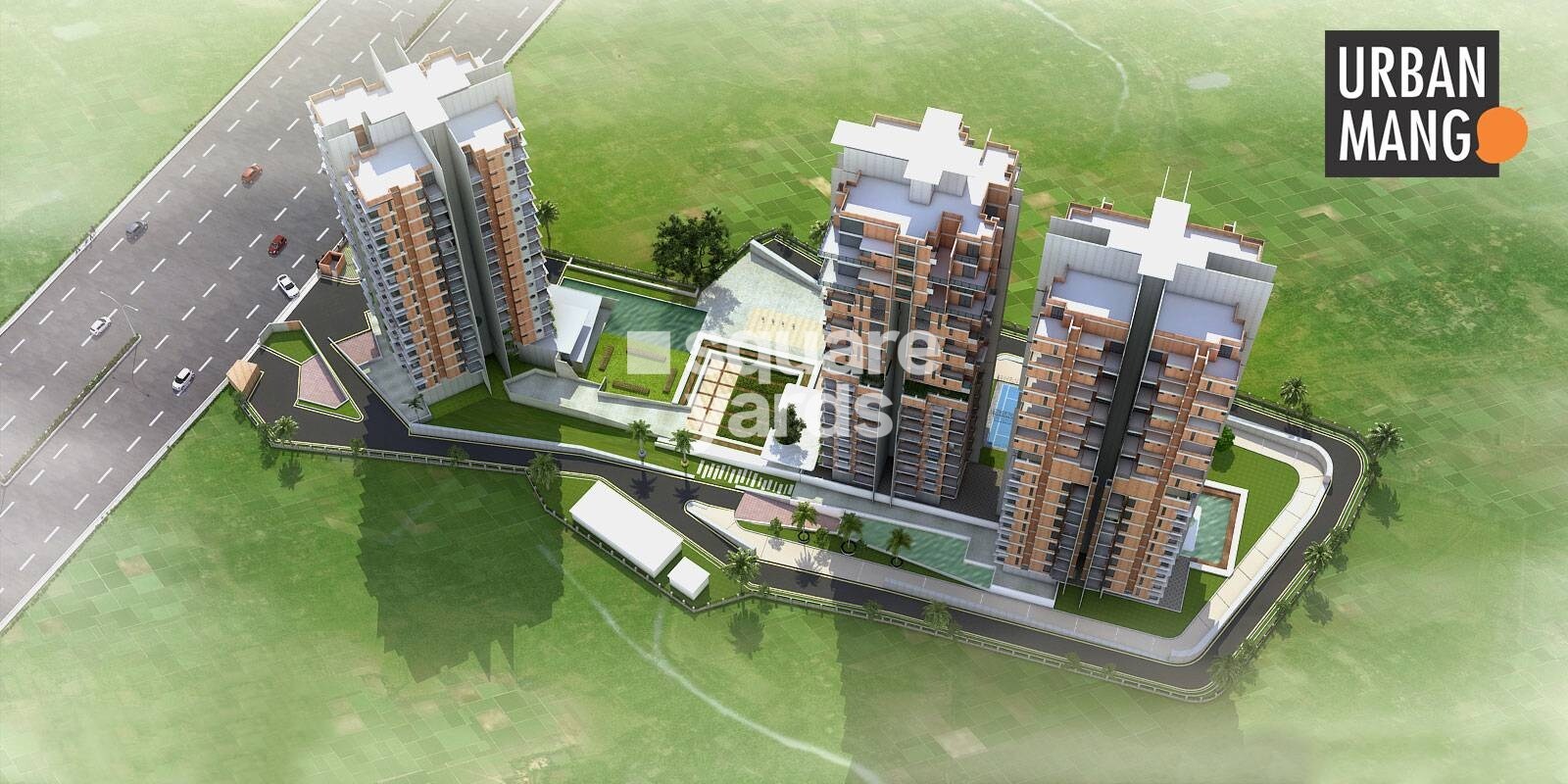 Four Ace Urban Mango