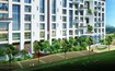 Ideal Exotica Amenities Features