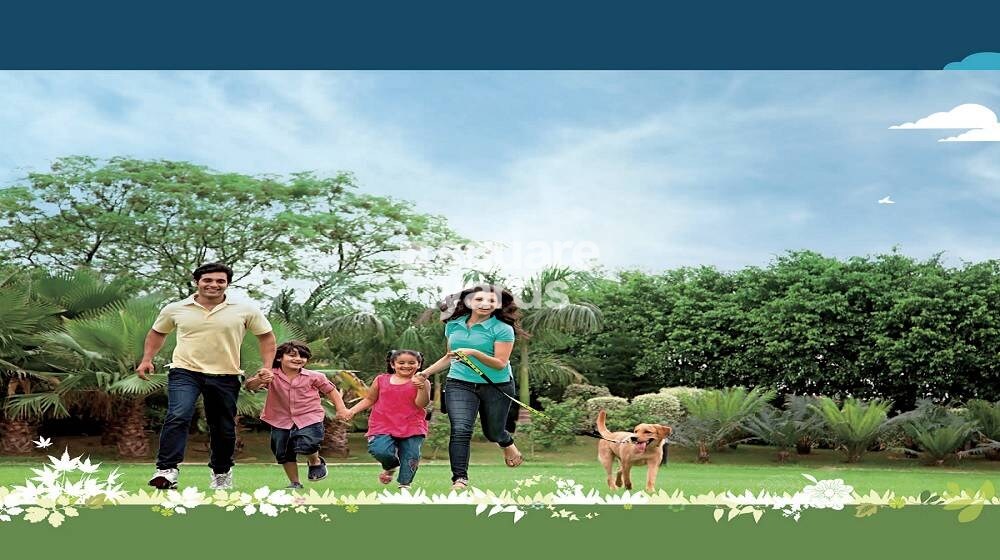 Ideal Grand Amenities-Features 2