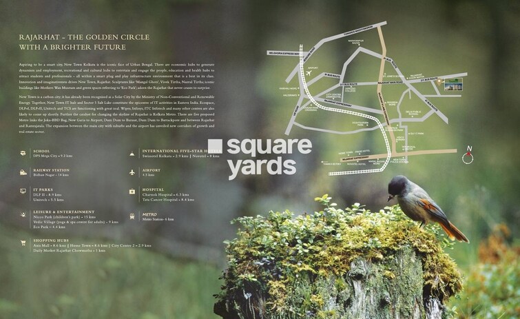 Kosmic The Amazonia Location Image