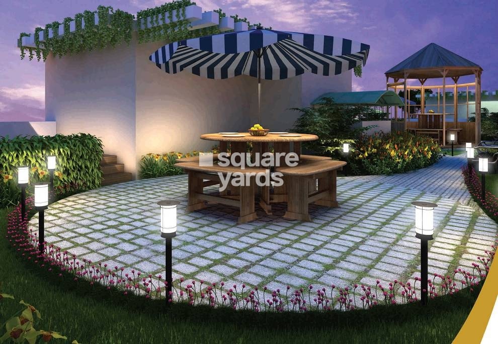 Loharuka Green Chinar