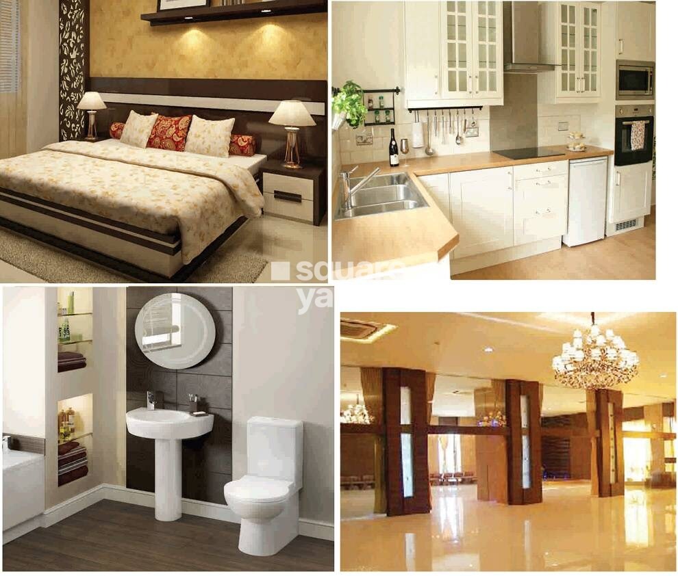 Loharuka Green Chinar