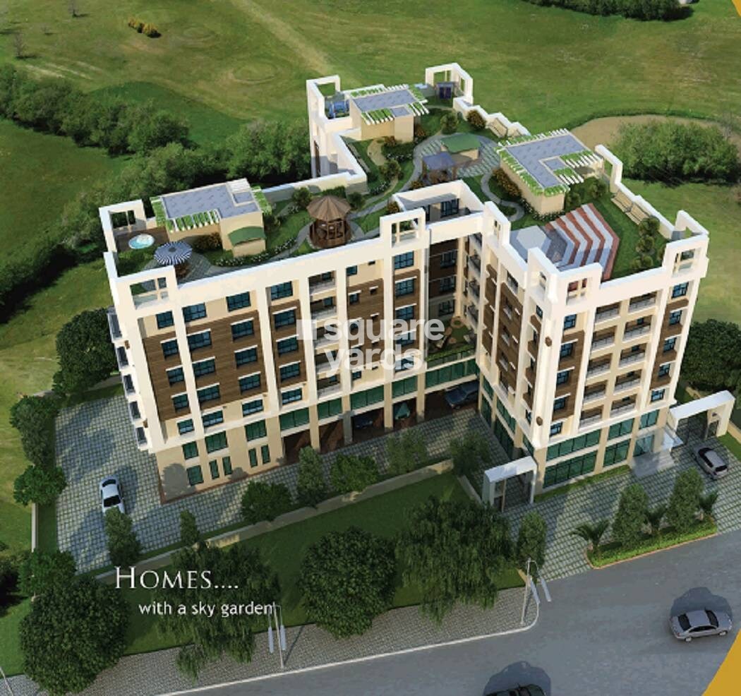 Loharuka Green Chinar