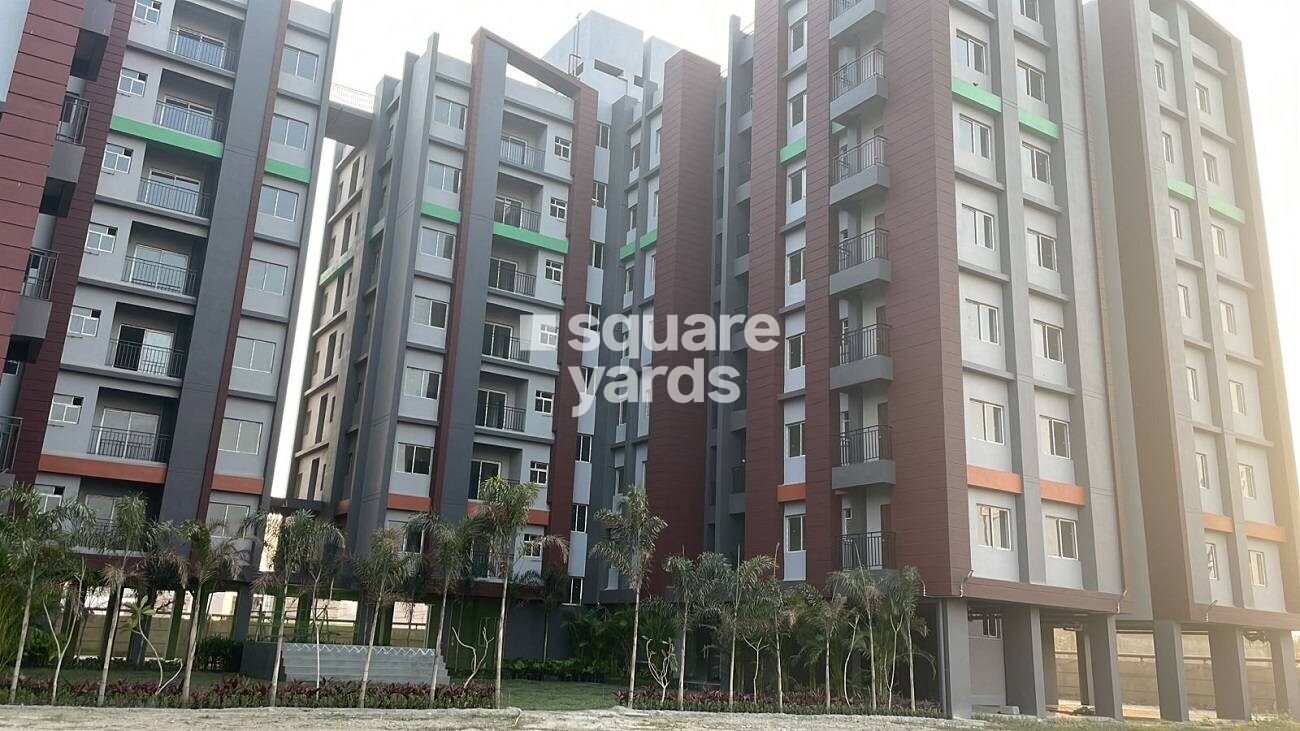 Magnolia Sports City