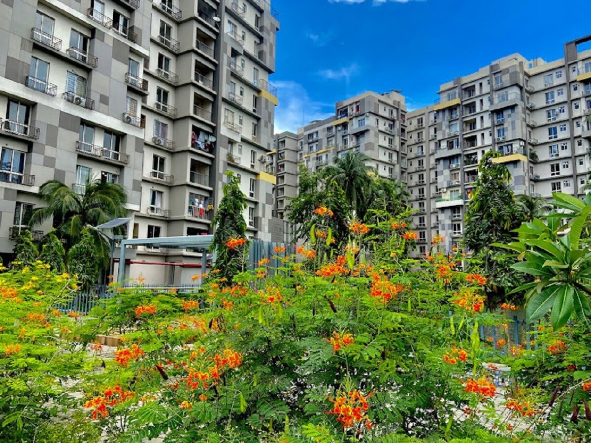 Merlin Maximus Apartment Exteriors 2