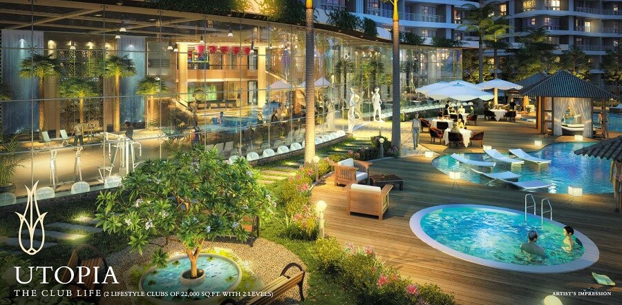 Mounthill The Rain Forest