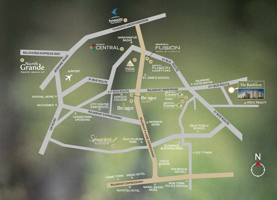 Mounthill The Rain Forest