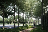 PS One 10 Amenities-Features