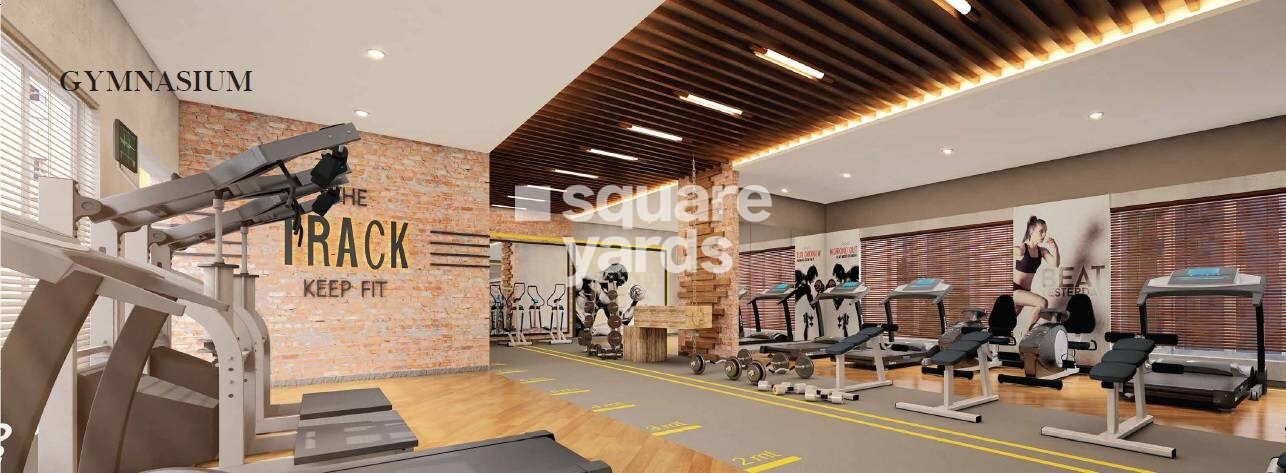 PS Srijan Ozone Gymnasium Image