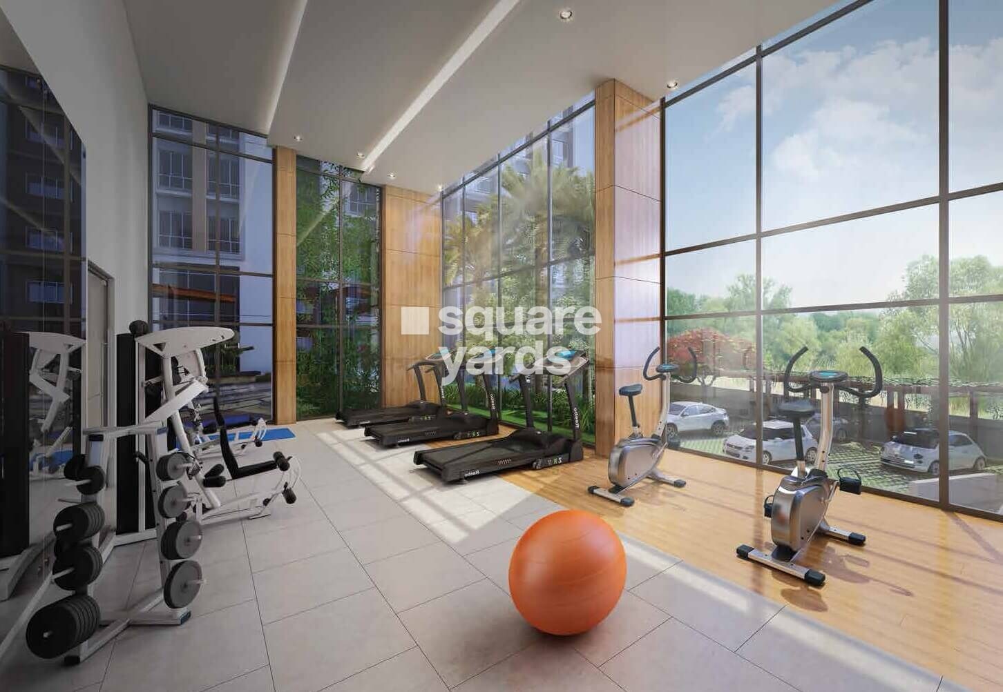 Rajat Avante Gymnasium Image