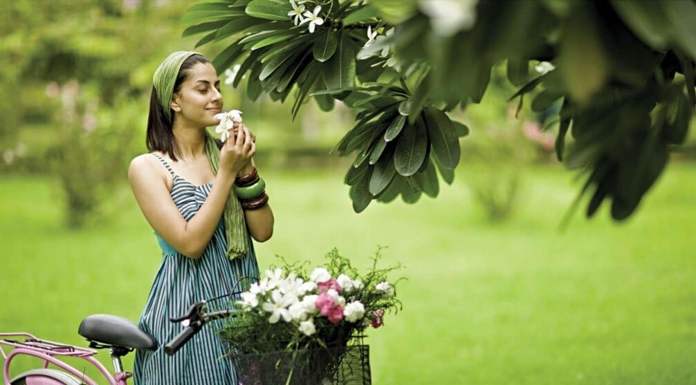 Rajwada Royal Gardens
