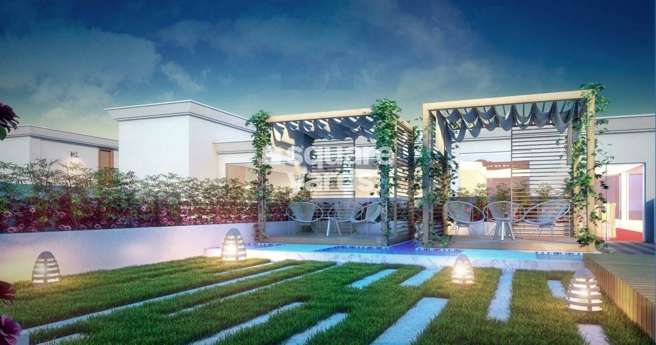 Realtech Curiocity Classic