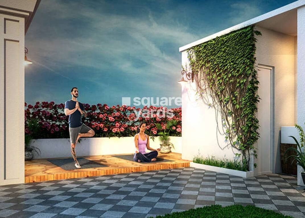 Realtech Curiocity Classic