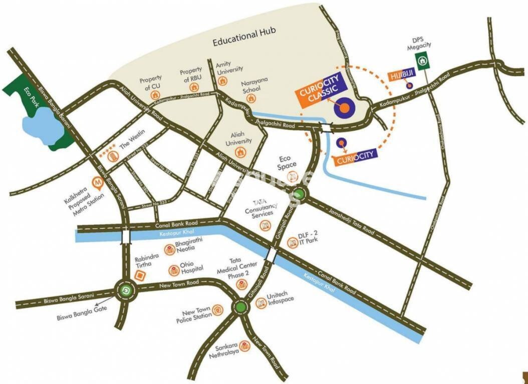 Realtech Curiocity Classic