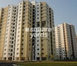 Shapoorji Pallonji Shukho Brishti