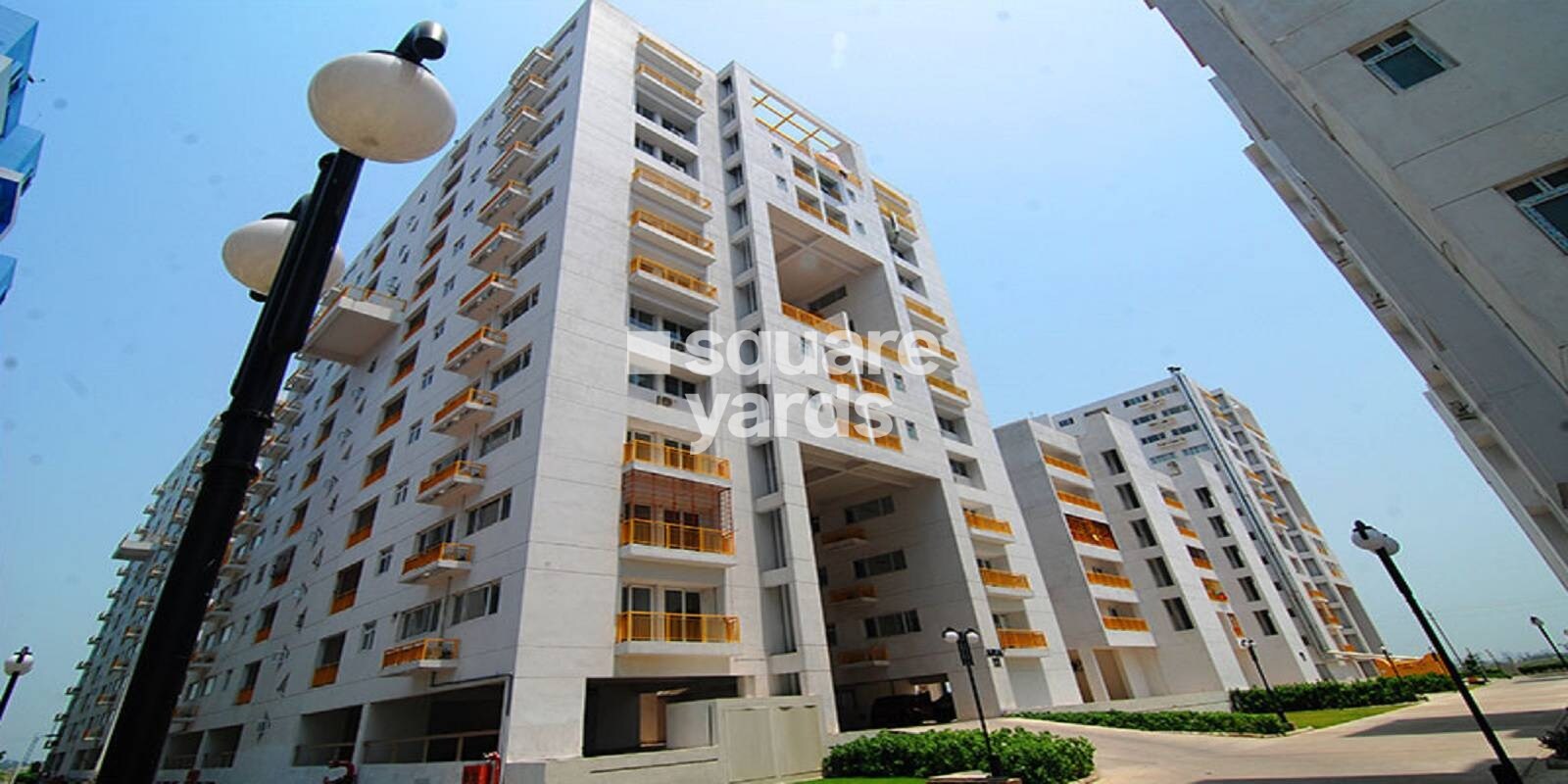 Shrachi Greenwood Elements