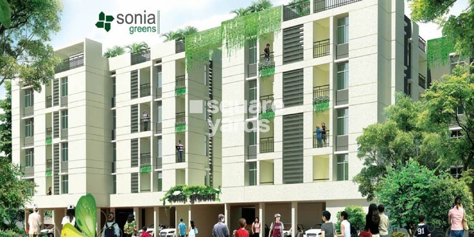Sonia Greens Featured Image