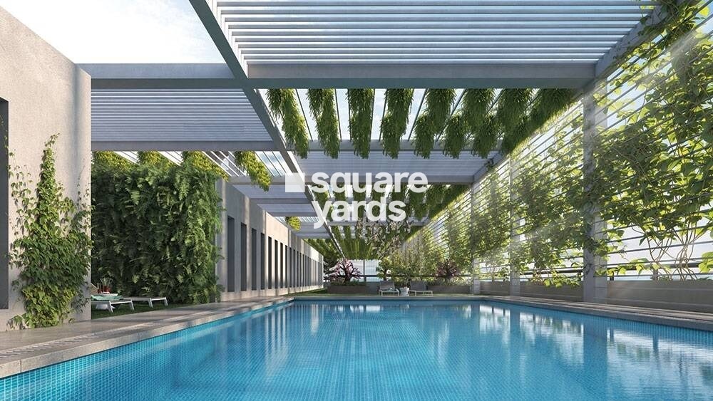 Squaremark Mohorkoonjo