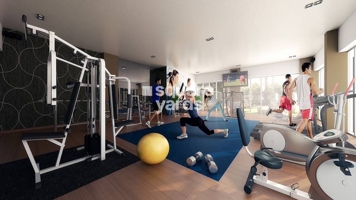 Swan Court Gymnasium Image