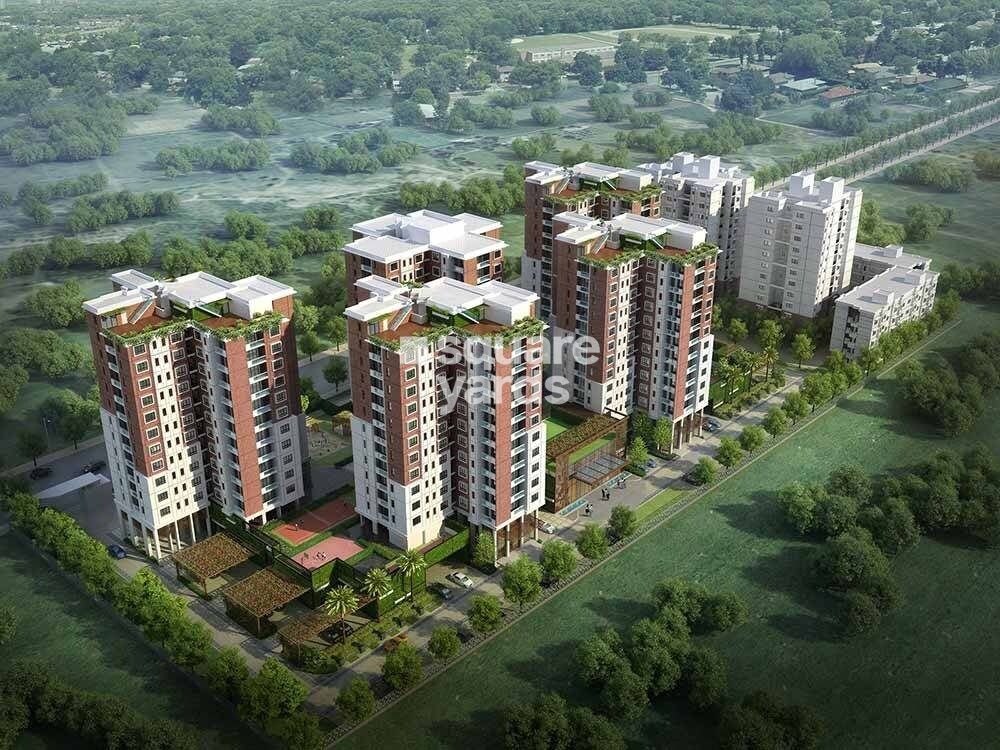 Swan Court Tower View 3