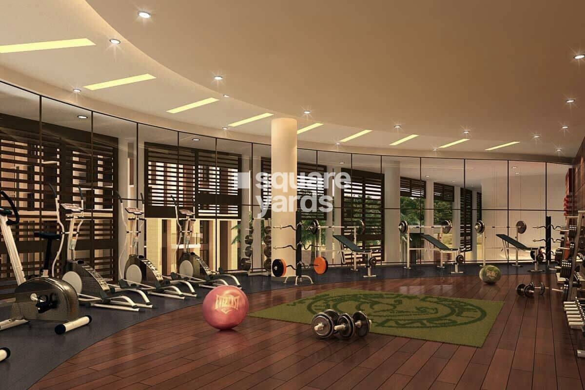 Tata Avenida Gymnasium Image