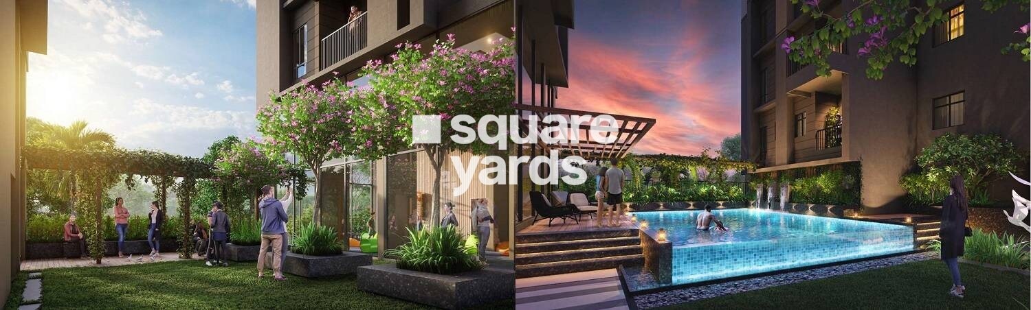 The Banyan Tree Rosetta