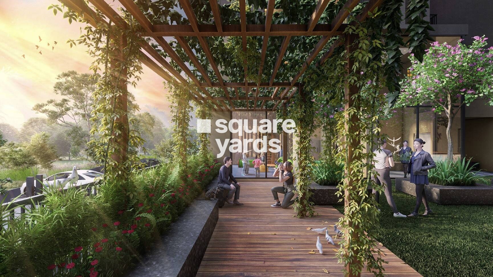 The Banyan Tree Rosetta