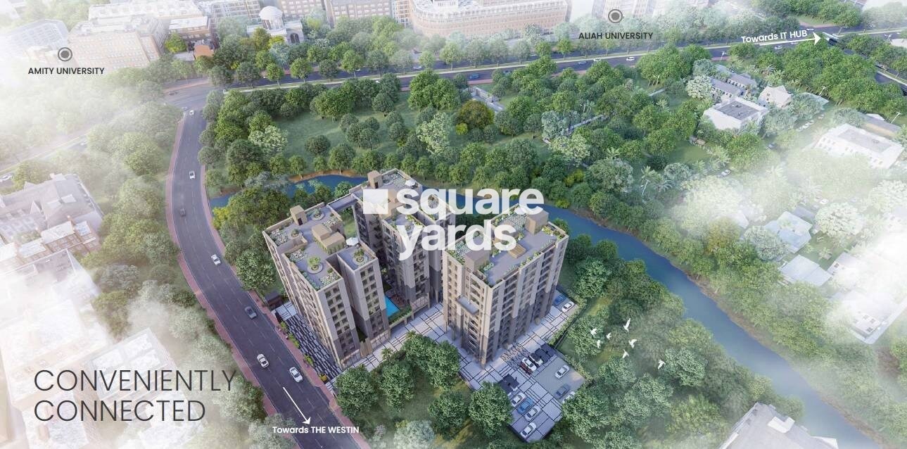 The Banyan Tree Rosetta