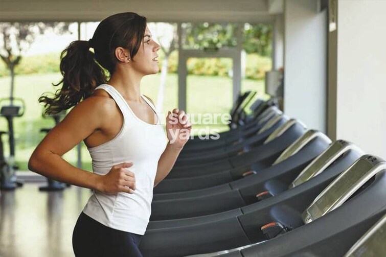 Unimark Springfield Elite 1 Amenities-Features 3