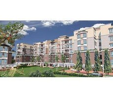 Akshara Whispering Willow Featured Image