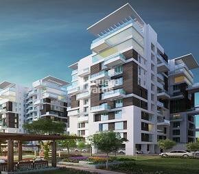 Arch Starwood