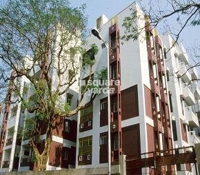 Belani Tolly Gardens Featured Image