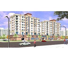 Daffodil Divine Bliss