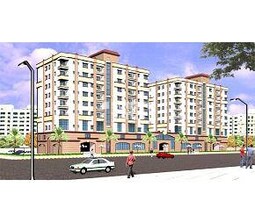 Daffodil Divine Bliss