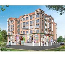 Daffodil La Bella Vista Featured Image