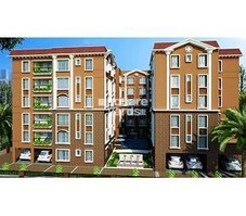 Daffodil La Bella Vita Featured Image