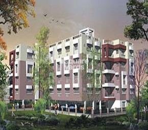 Deeshari Comfort