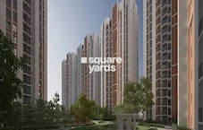 DTC Sojon Featured Image