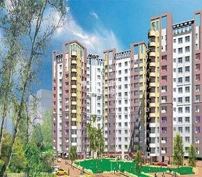 Ekta World Oleander