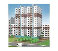 Ganguly 4 Sight Olivia Featured Image