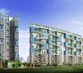 Ideal Exotica Flagship Image